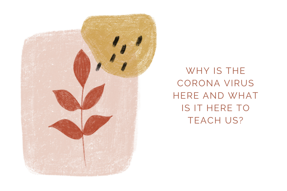 What is the coronavirus here to show us, teach us and awaken us to?
