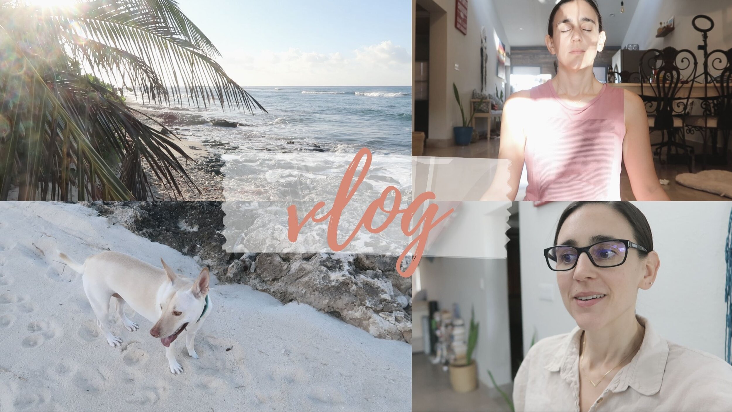 VLOG 🎬 Beach Walk 🌊 Meditation 🧘🏻‍♀️ Sandy's Paw 💩
