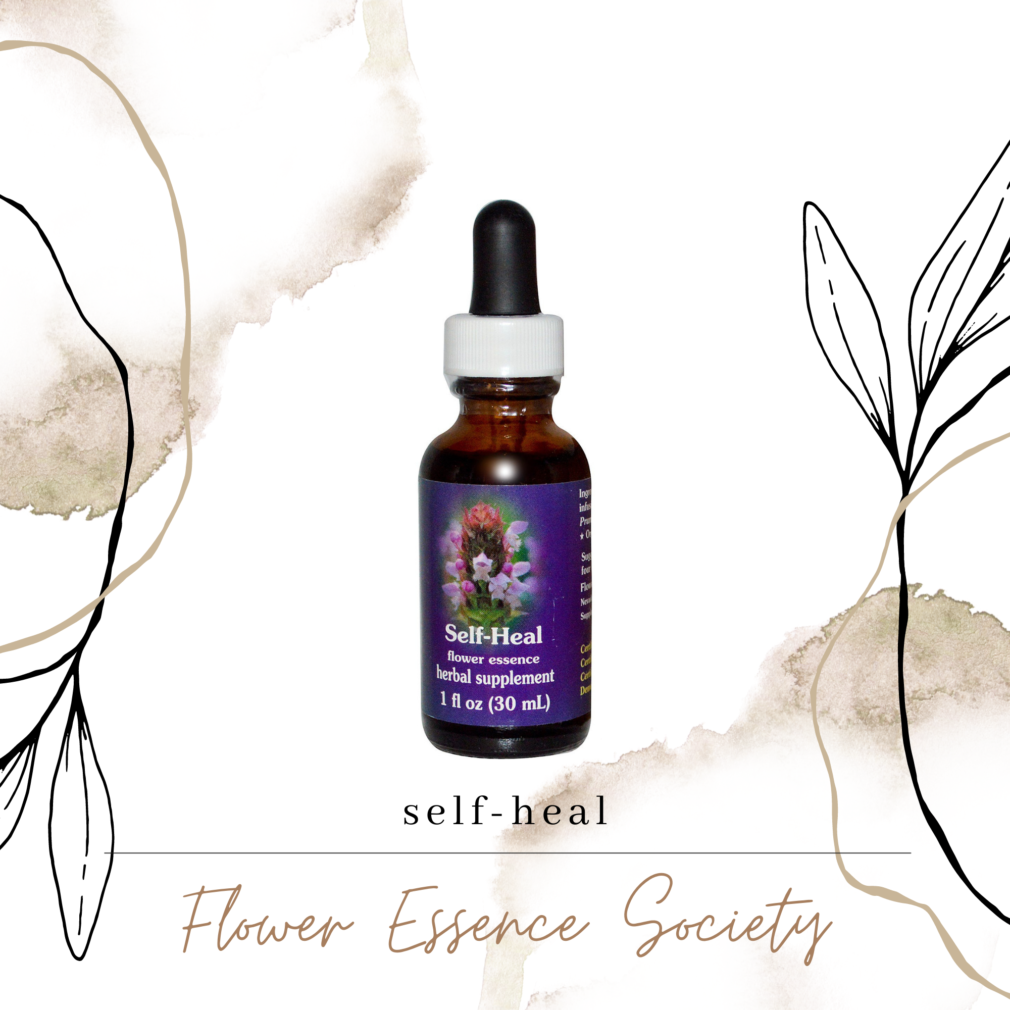 March Flower Essence Recommendation 