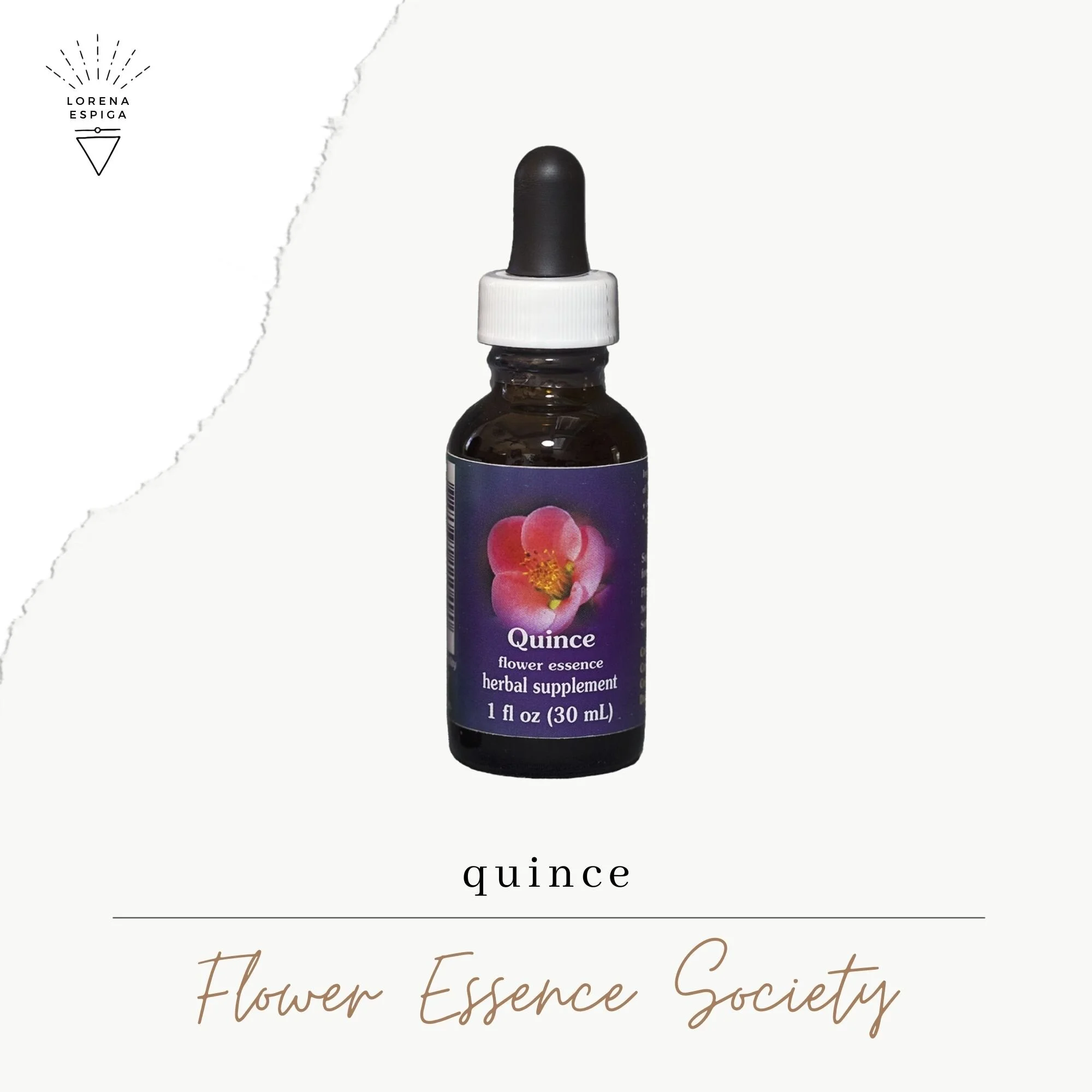 September Flower Essence Recommendation