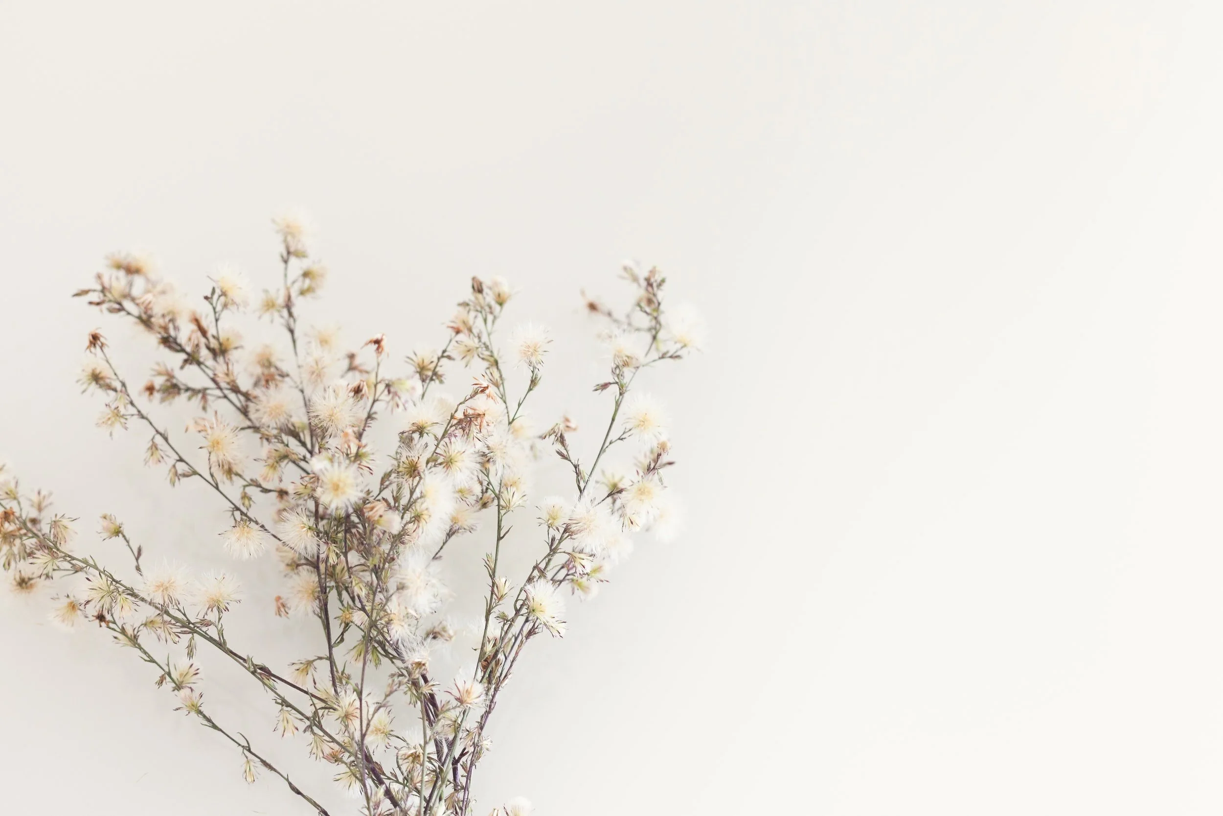 unsplash-image-ELM74Lhmyfo.jpg