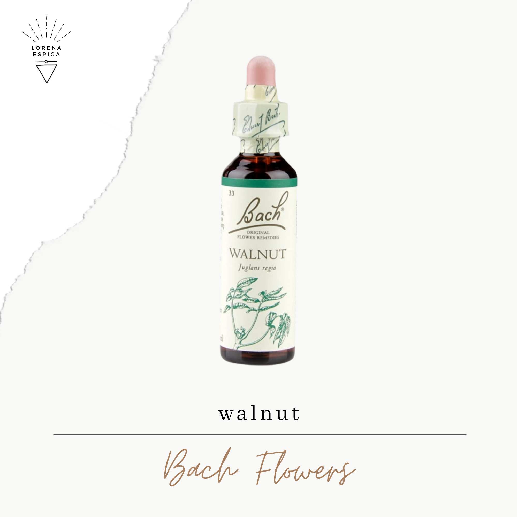 October Flower Essence Recommendation