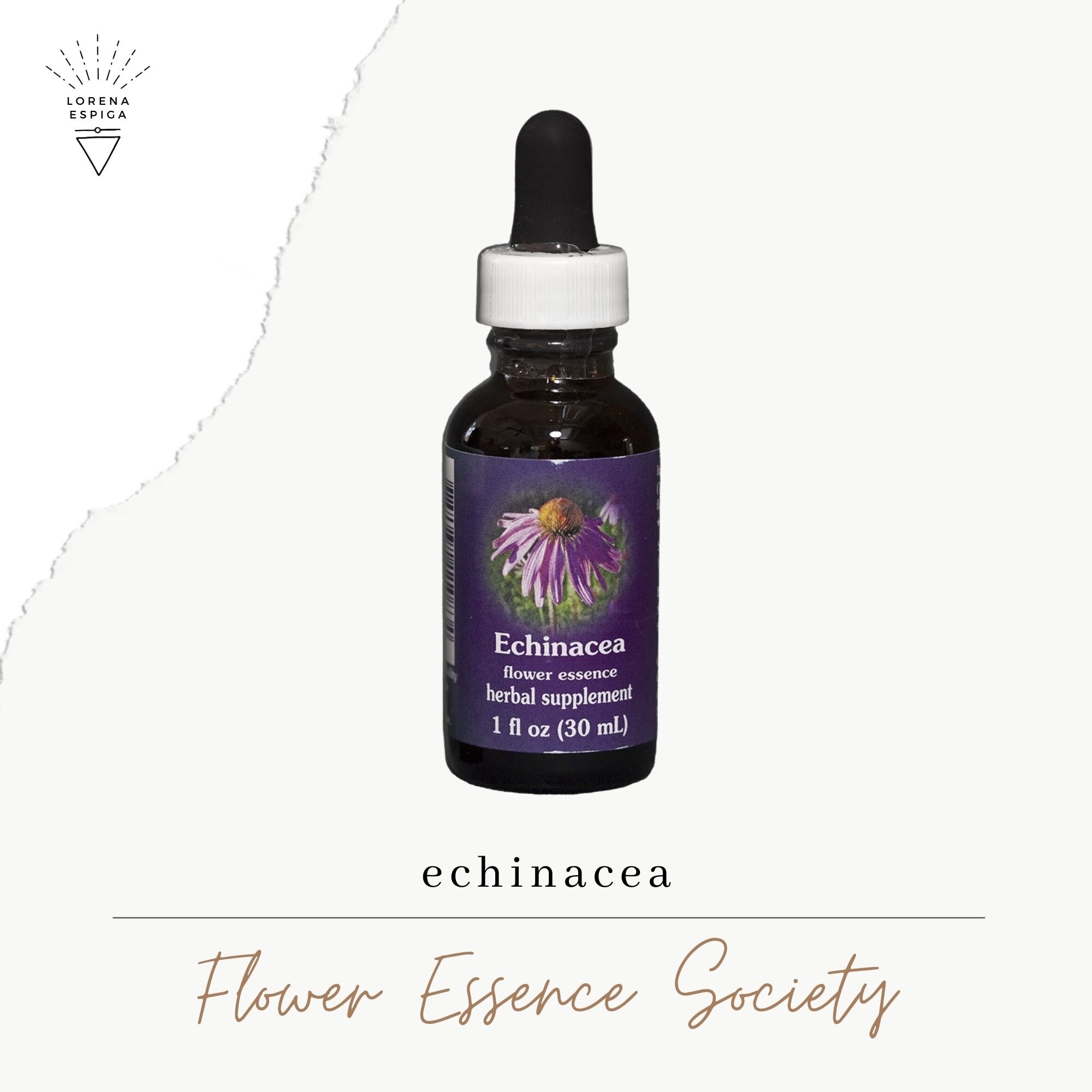 Echinacea Flower Essence Remedy (Flower Essence Society)