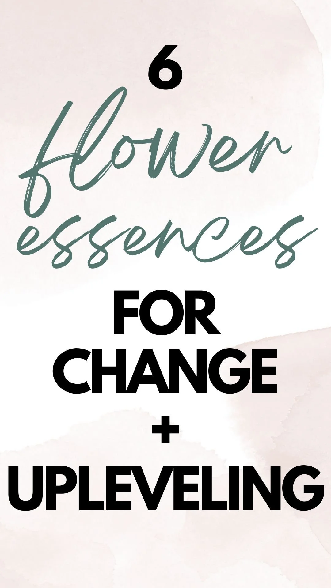 6 Bach Flower Essences to help you through a season of change and up-leveling 