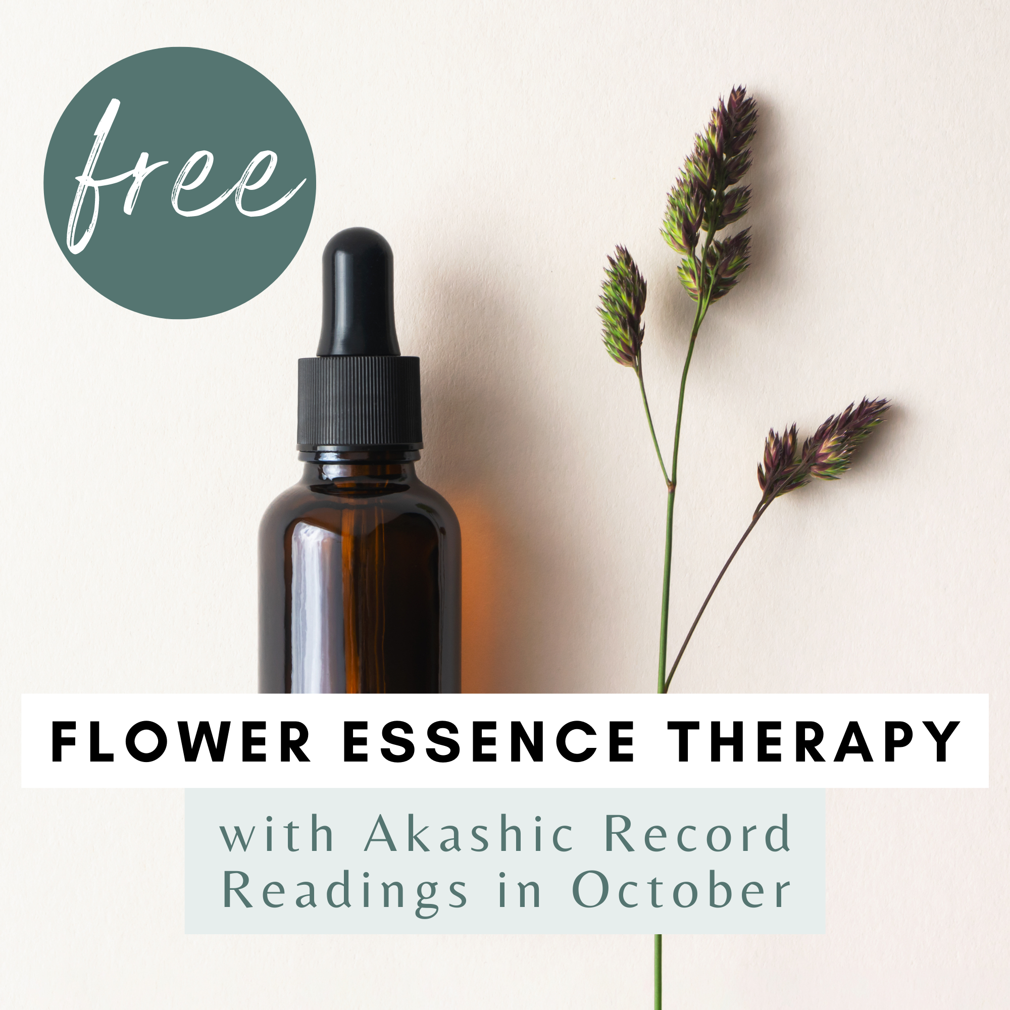 Free Flower Essence Therapy in October