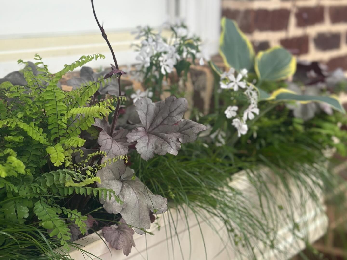 Window box fun 😍🪴Window boxes are a great option to dress up any house, but can be especially fun for those who don&rsquo;t have space to plant a traditional garden. They can act as mini perennial borders, right outside your window! Come see this o