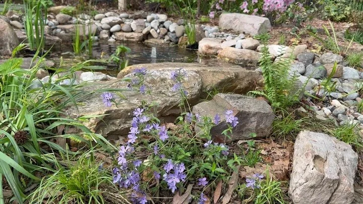Elevate your landscape&mdash;naturally.🪨

At Bashavia Gardens, our hardscape services bring structure, beauty, and intention to your outdoor spaces. From water features and stone patios to paths, terraces, and custom details, we design with nature i