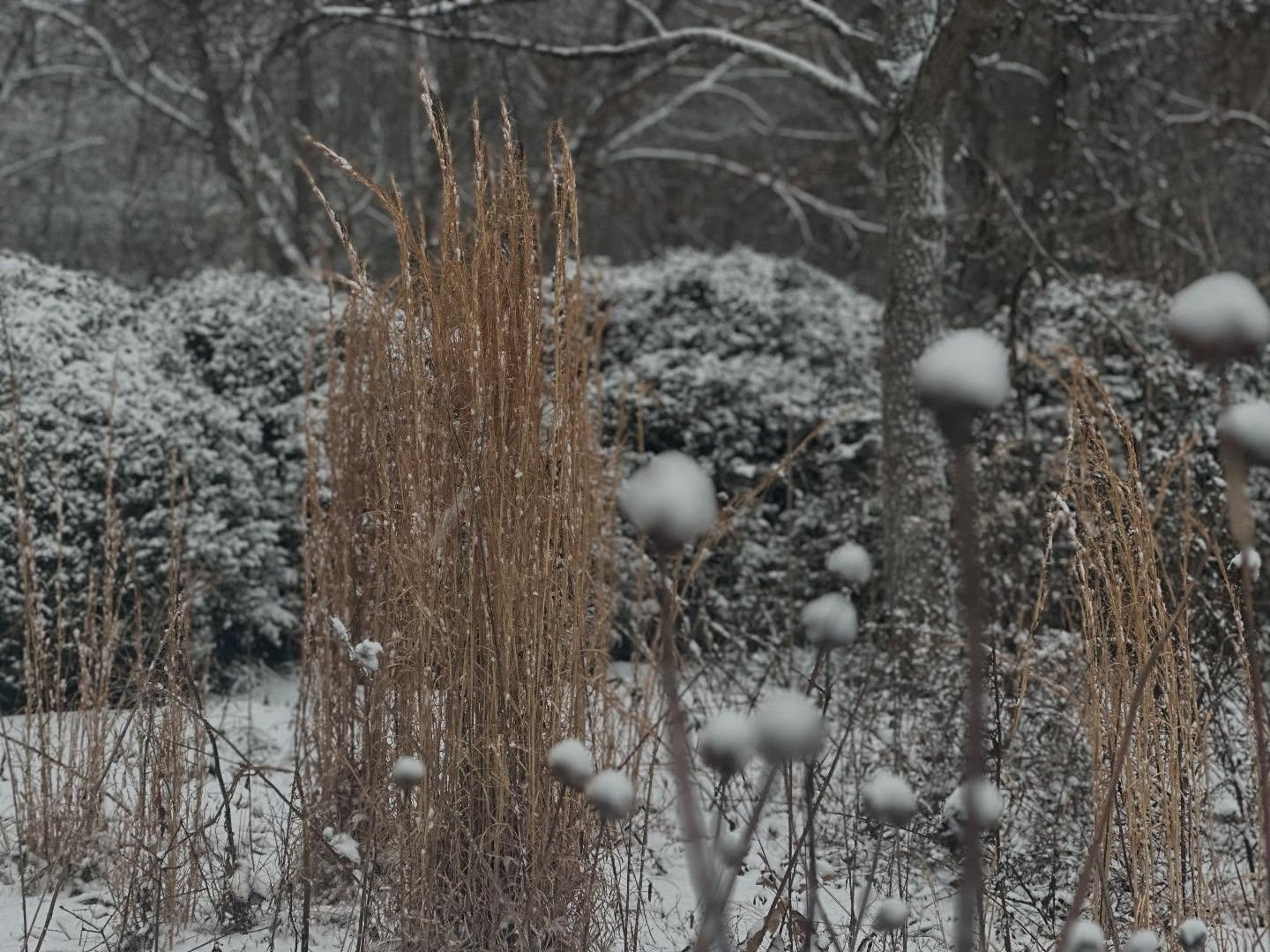 Stay safe and warm friends! We&rsquo;re loving the gorgeous snow at the farm. 🌲🌲🌲❄️❄️