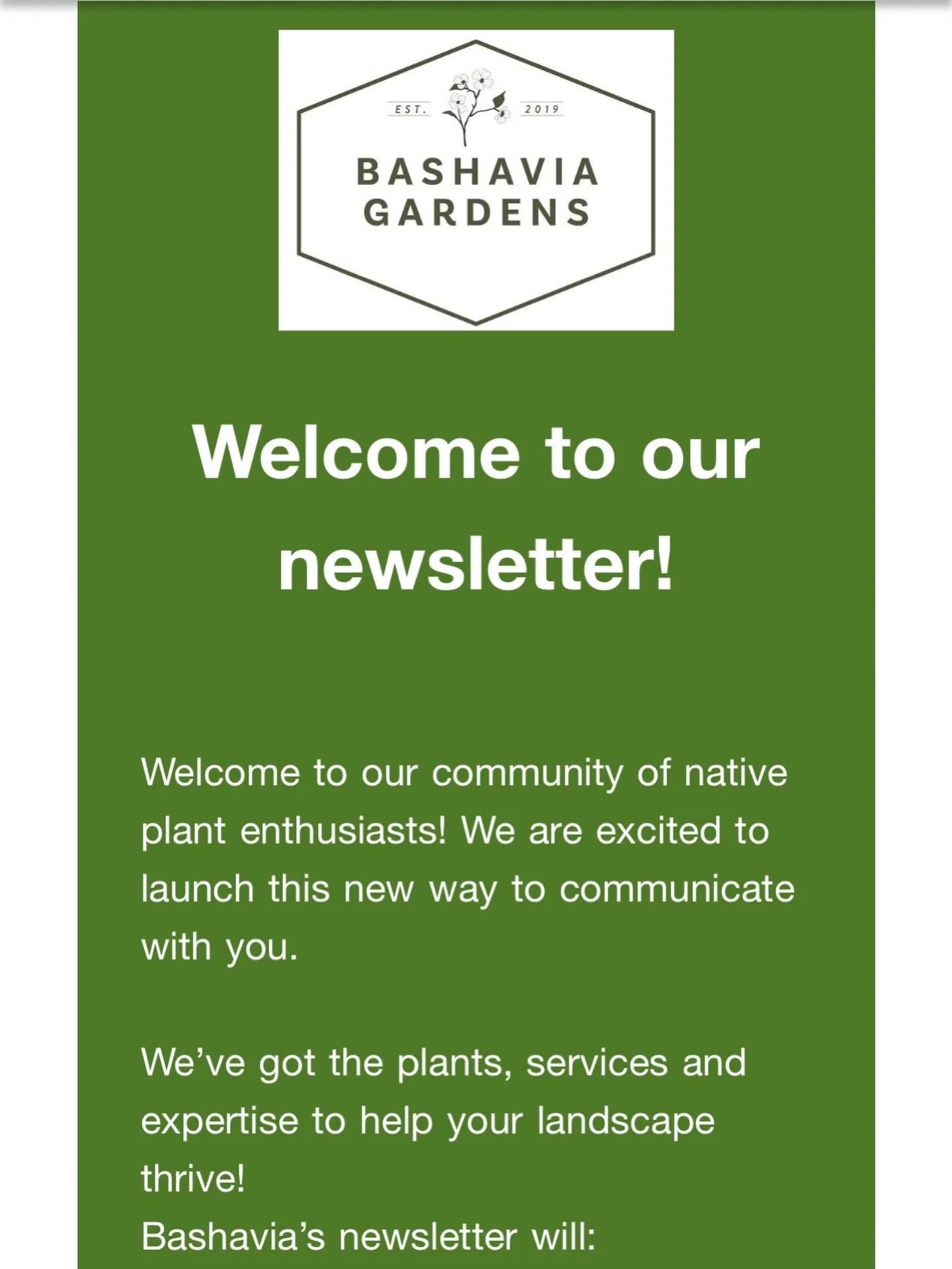 📣🌱Hey native plant lovers, we&rsquo;ve got some exciting news!! We&rsquo;re launching a Bashavia Gardens newsletter this Spring- our first email went out this morning. We&rsquo;ll provide you with helpful native plant info, tips and tricks to make 