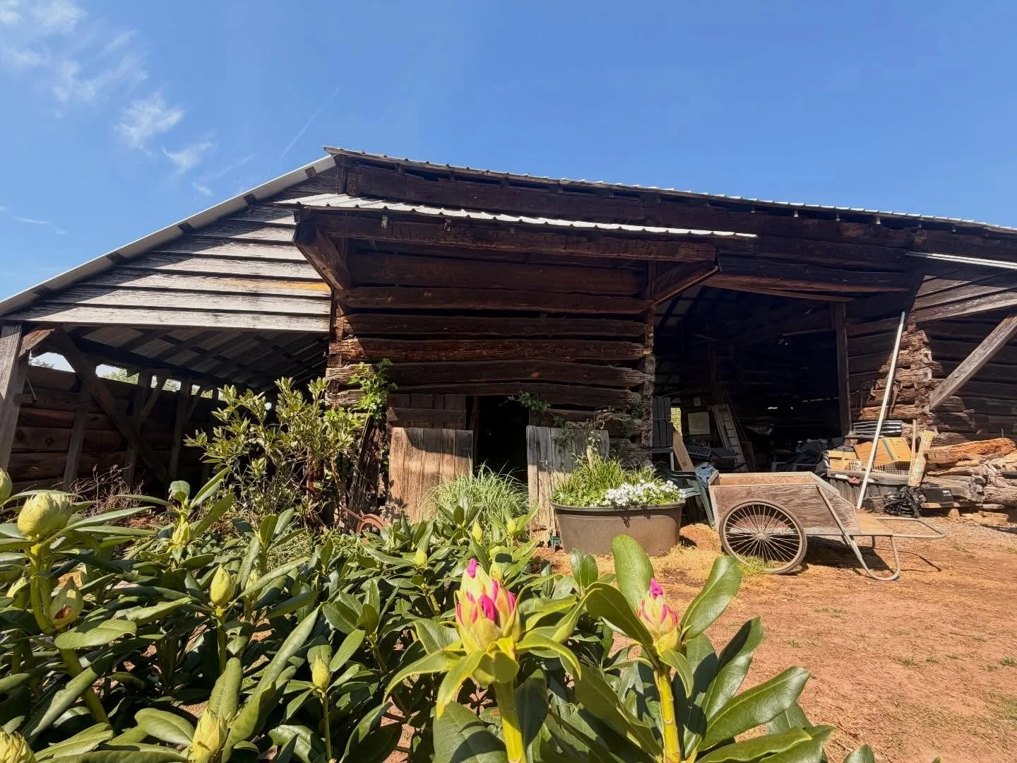 Good morning from the nursery barn! We hope you all enjoy this gorgeous Saturday!! 

🌞🌞🌞💐💐💐