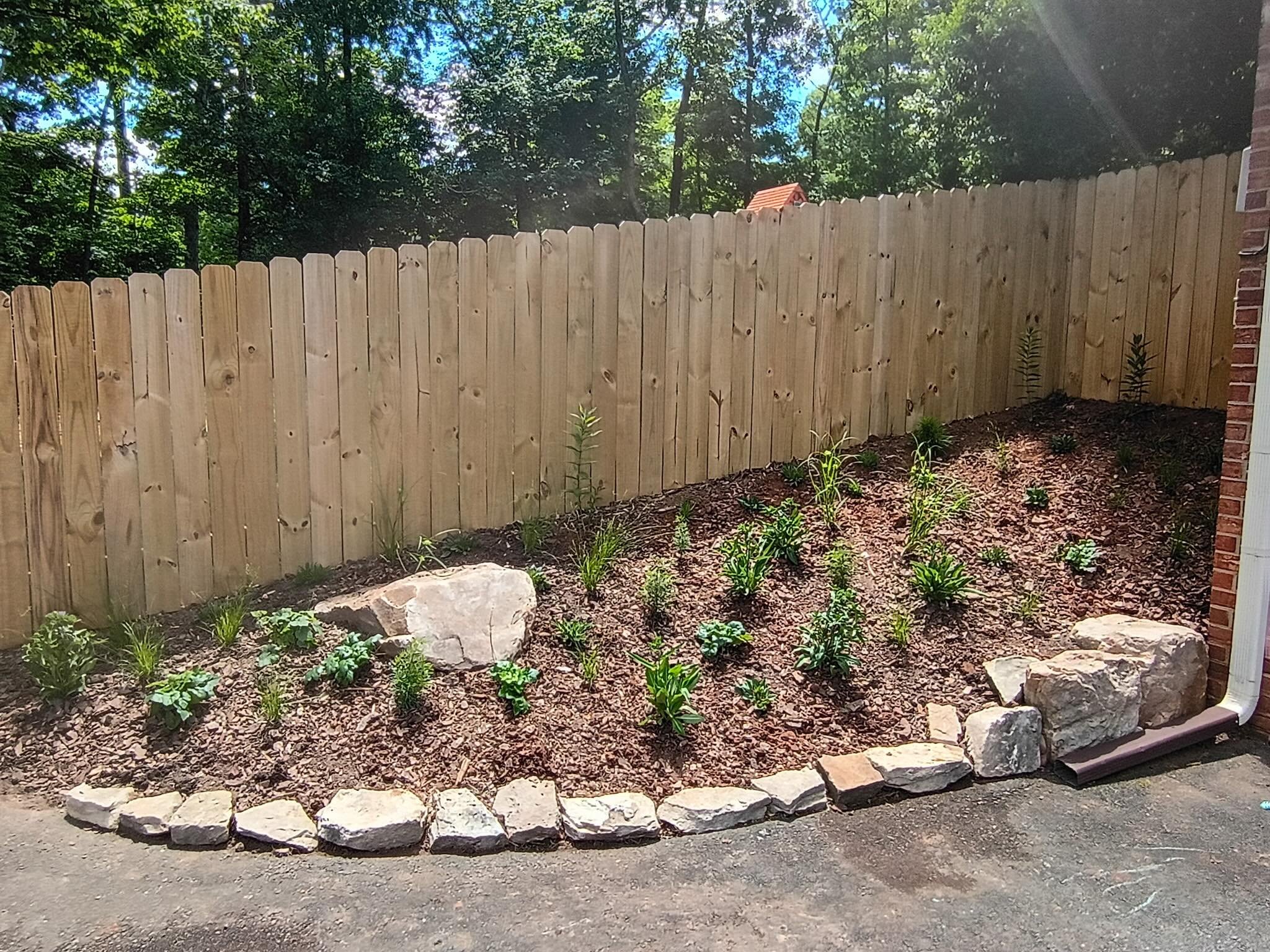 This little project draws inspiration from the layered beauty of a Piedmont woodland edge&mdash;full of texture, movement, and all native plants. It&rsquo;s just getting started, but already hinting at the wild, soft magic it&rsquo;ll grow into 🌿

#
