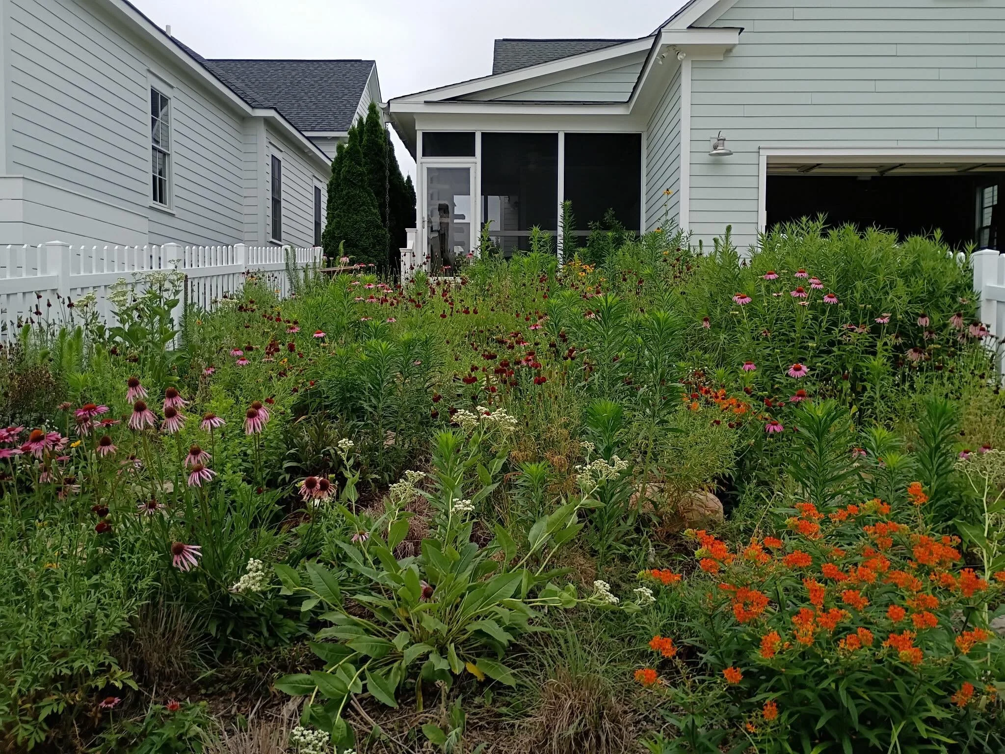 Who else wants a native plant meadow in their front yard? 🙋🏼&zwj;♀️🦋🌱🌼