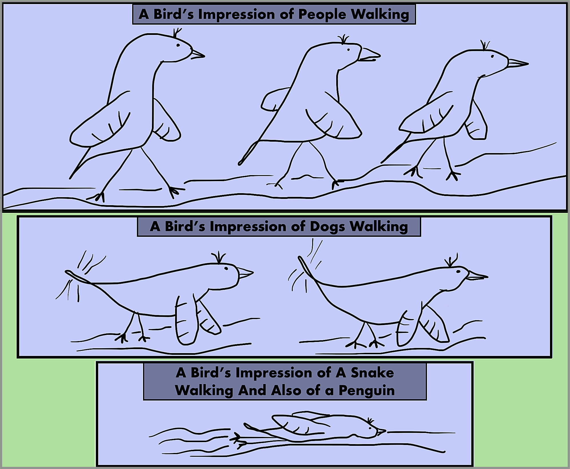 Look at the birdies practicing for their SNL auditions!