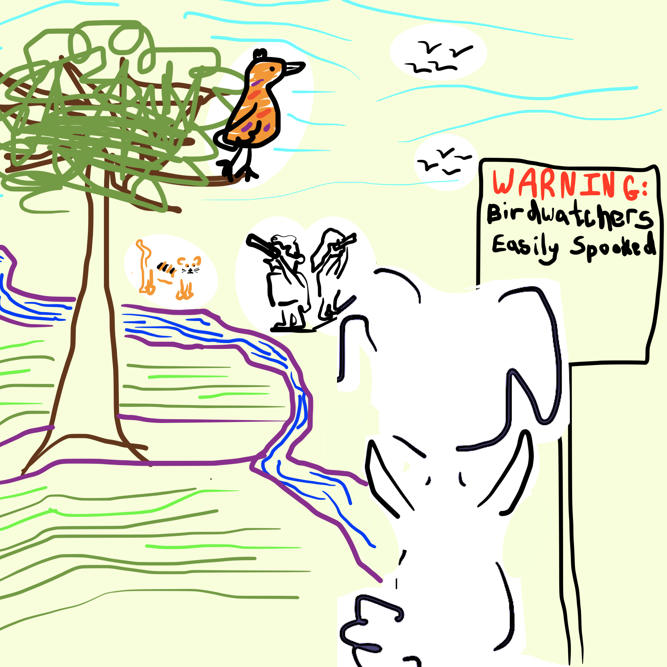 From the Desk of the Park Ranger: Tips for Bird-Watcher-Watching