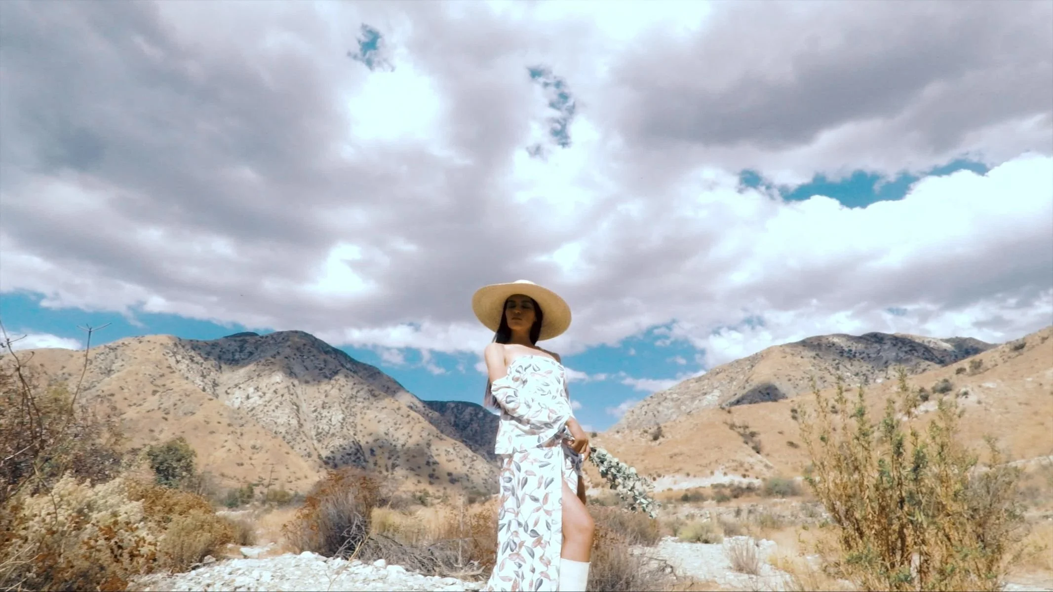 Iris and Thorn Lookbook