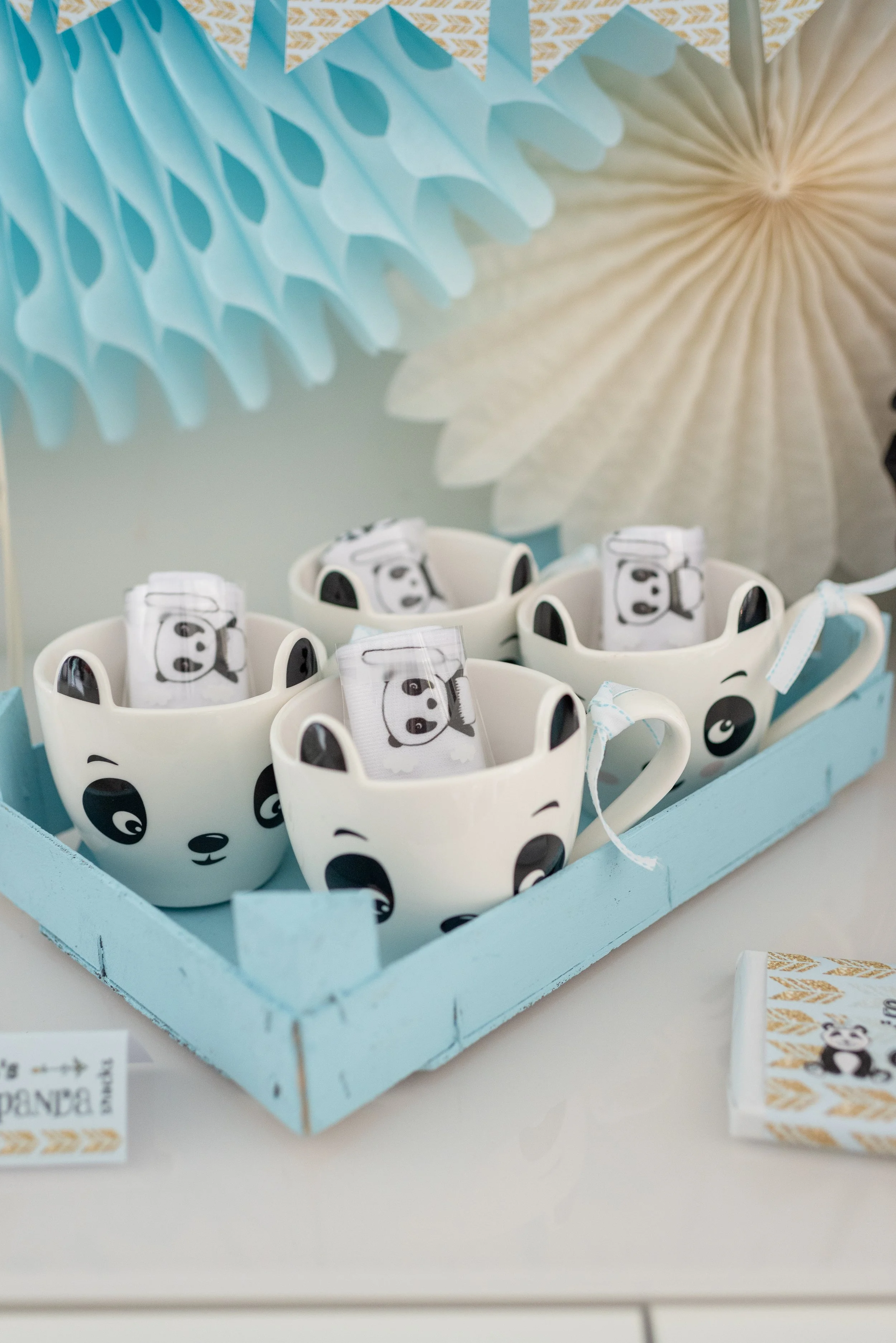 PandaParty-47.JPG