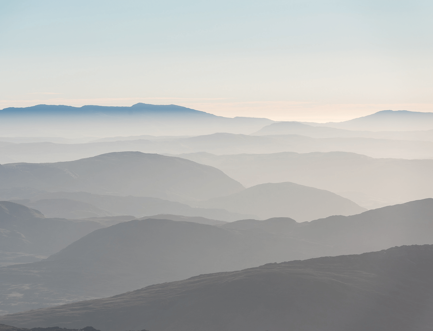 header-bg.png