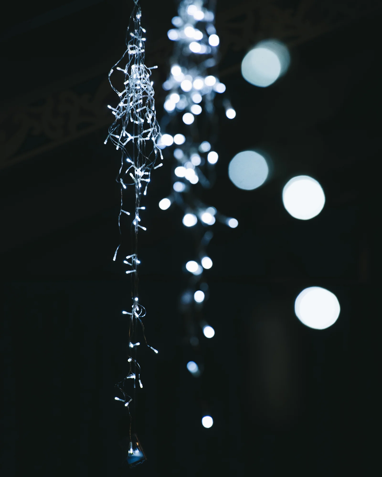 Lights 1.jpg