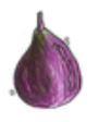 pear.png