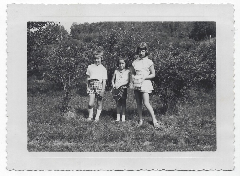 Picking blueberries; Heather, Laurey age 6, Lucinda