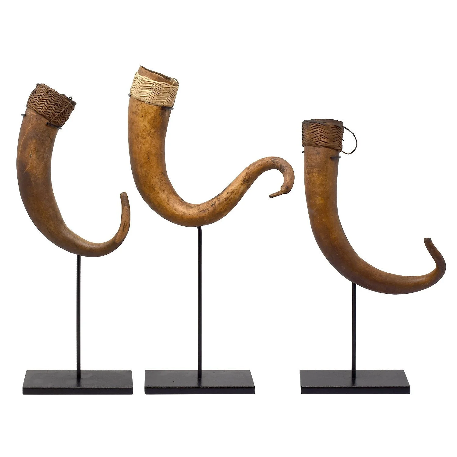 Set of 3 West Sepik Phallocrypts from Papua New Guinea. Made of Gourds, natural fibers