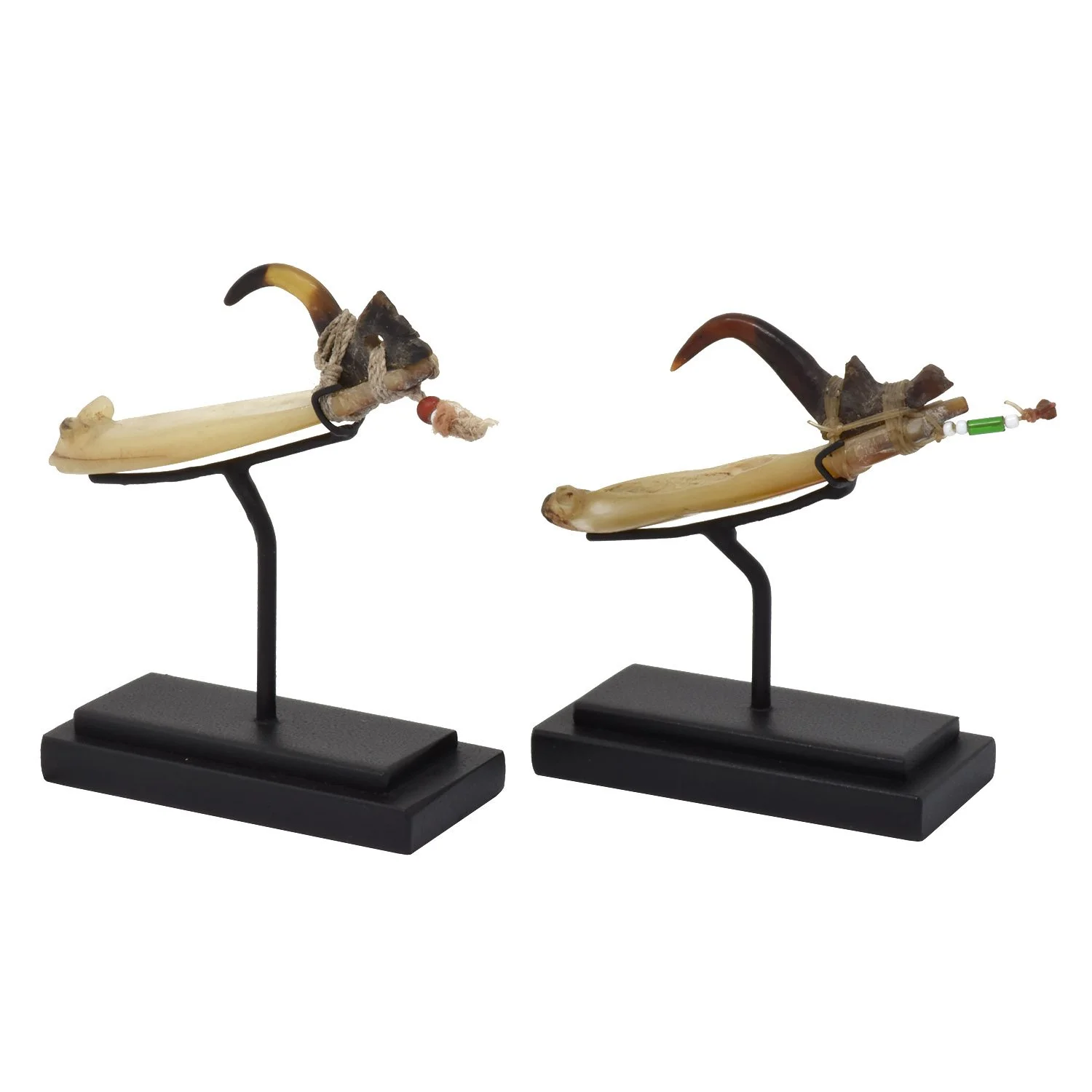 fish hook shell old fiber solomon islands oceanic oceania art tribal gallery morgan oaks san francisco