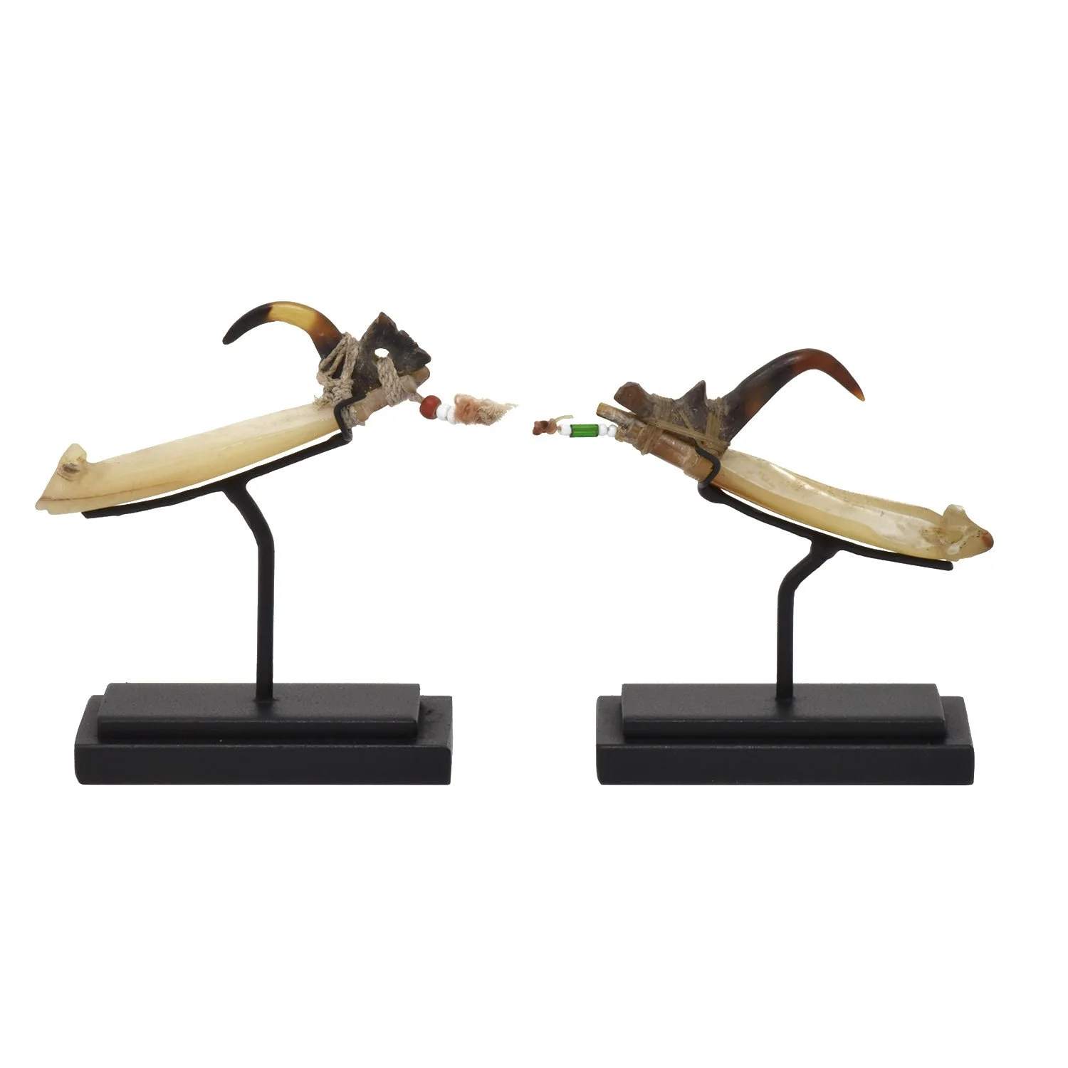 fish hook shell old fiber solomon islands oceanic oceania art tribal gallery morgan oaks san francisco