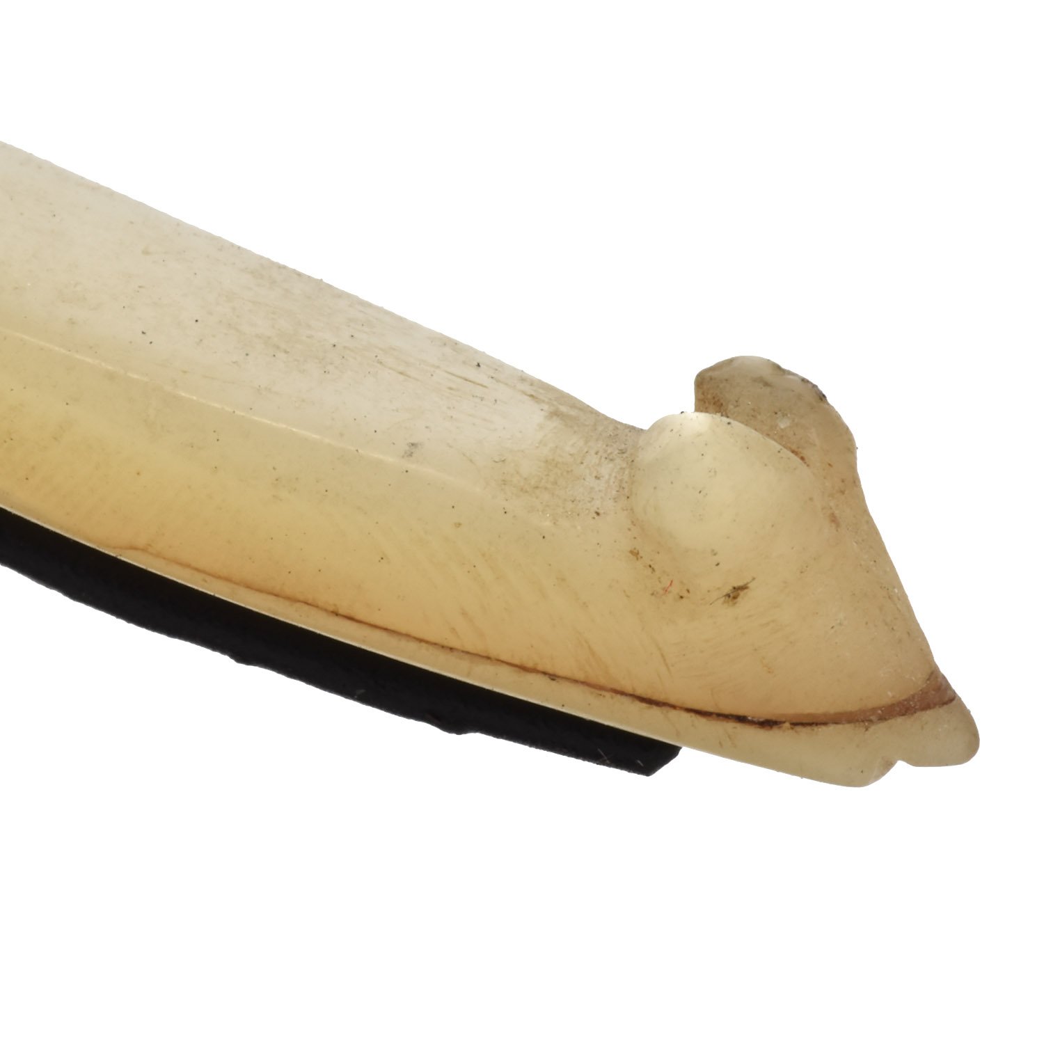 fish hook shell old fiber solomon islands oceanic oceania art tribal gallery morgan oaks san francisco