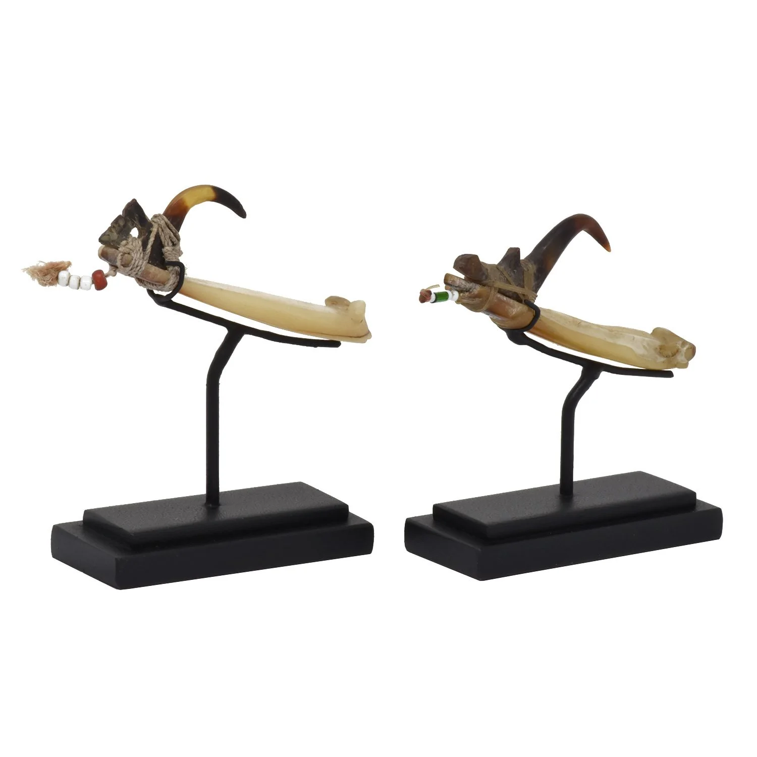 fish hook shell old fiber solomon islands oceanic oceania art tribal gallery morgan oaks san francisco