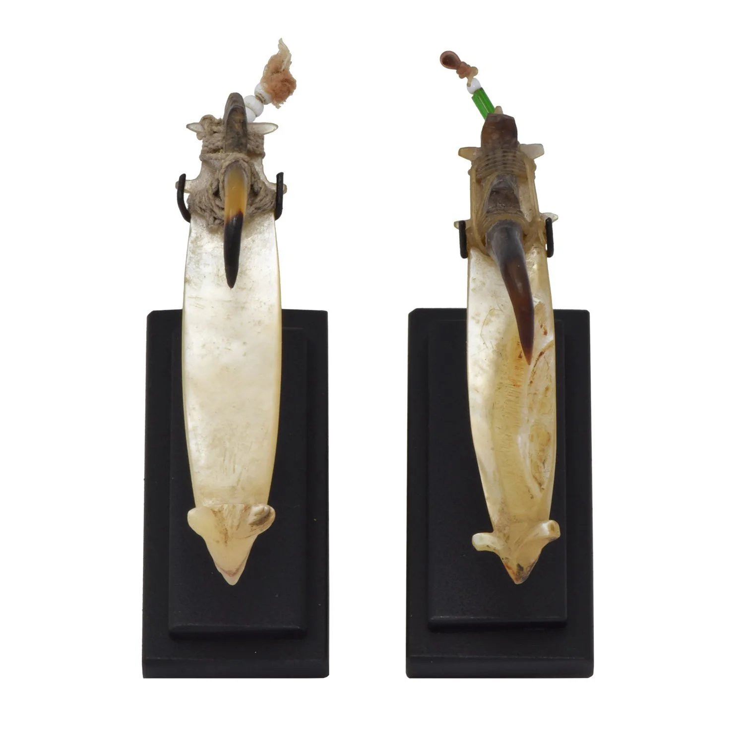 fish hook shell old fiber solomon islands oceanic oceania art tribal gallery morgan oaks san francisco