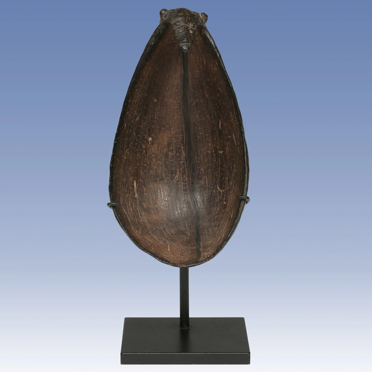 Zoomorphic Coconut Shell Scoop #1