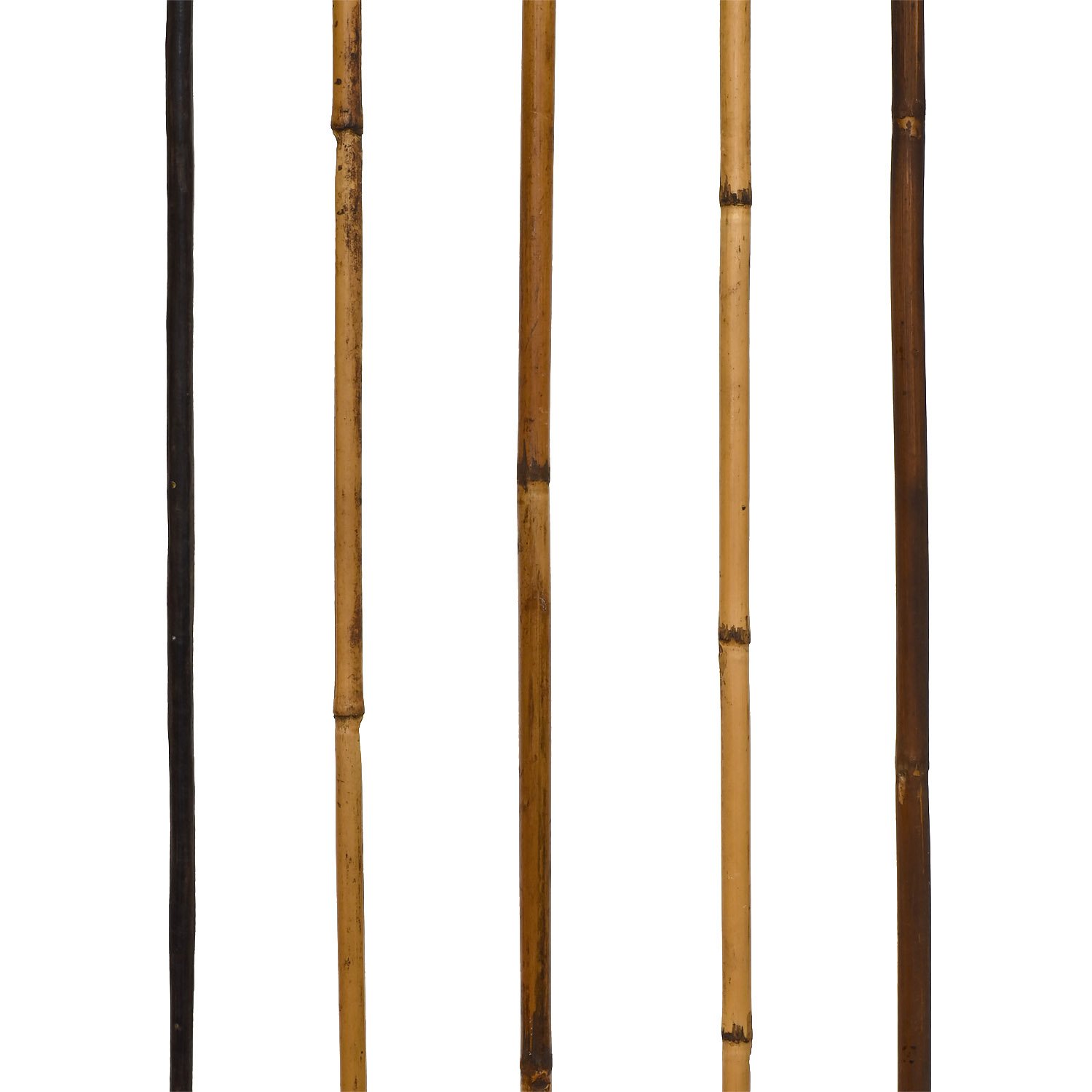 arrow-group-papua-new-guinea-morgan-oaks-oakes-san-francisco-1c copy.JPG