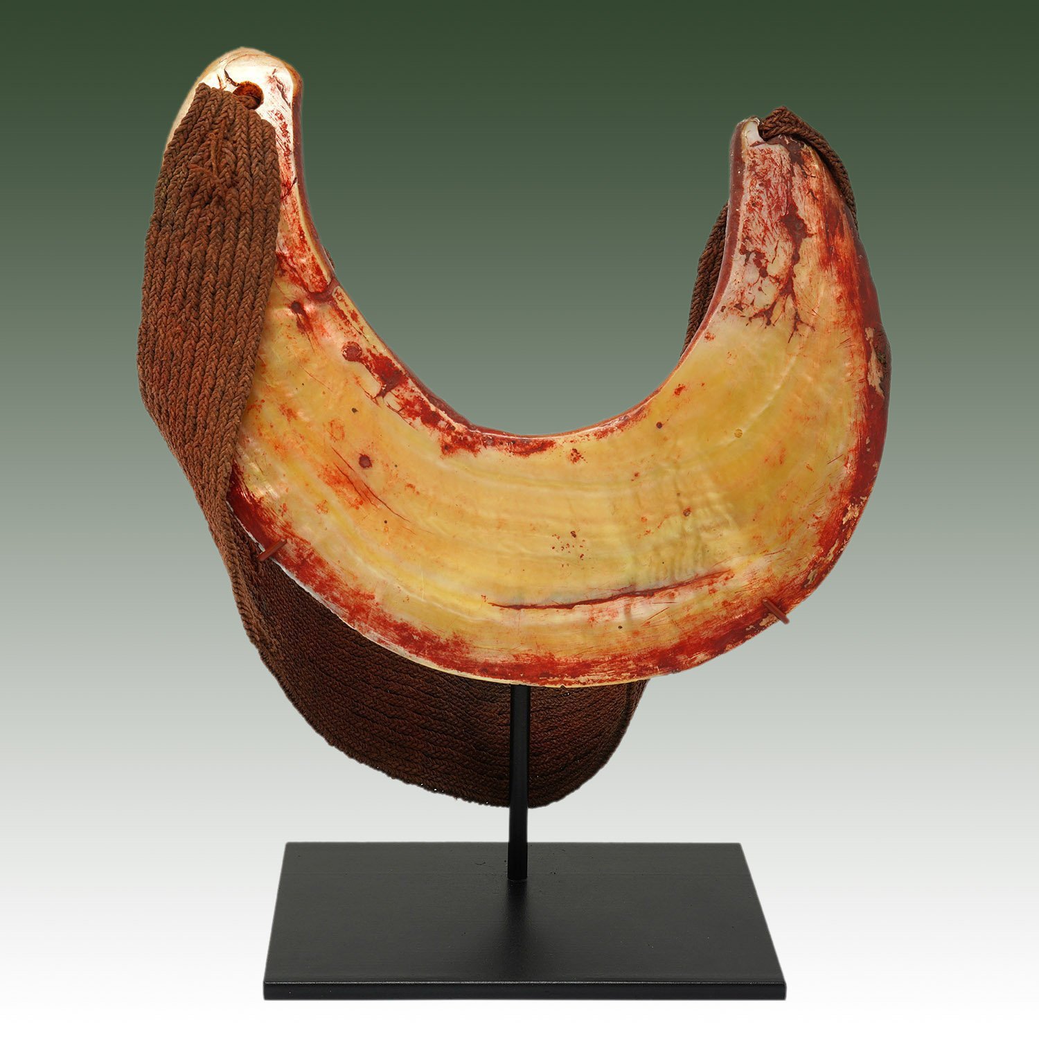 Kina Shell Necklace #DWS