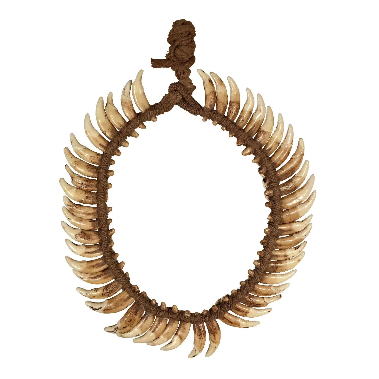 Dog-Tooth-Necklace-PNG-Morgan-Oaks-Oakes-2b.jpg