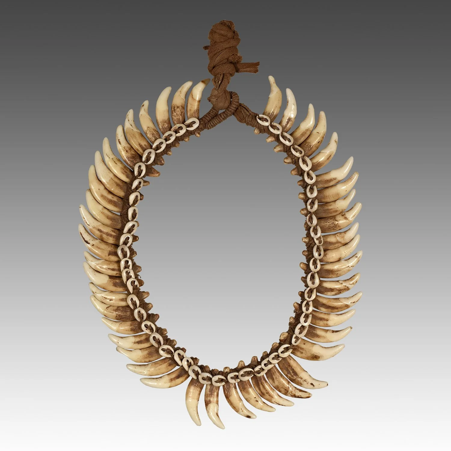 Dog-Tooth-Necklace-PNG-Morgan-Oaks-Oakes-2a3.jpg
