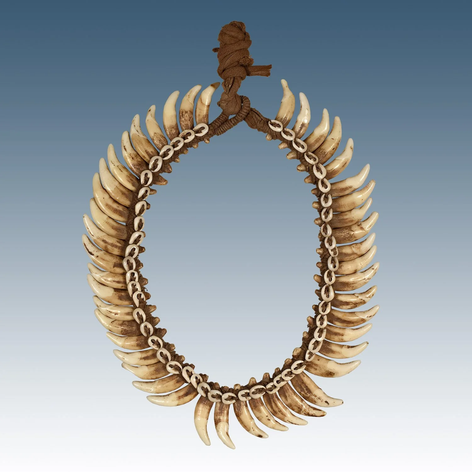 Dog-Tooth-Necklace-PNG-Morgan-Oaks-Oakes-2a2.jpg