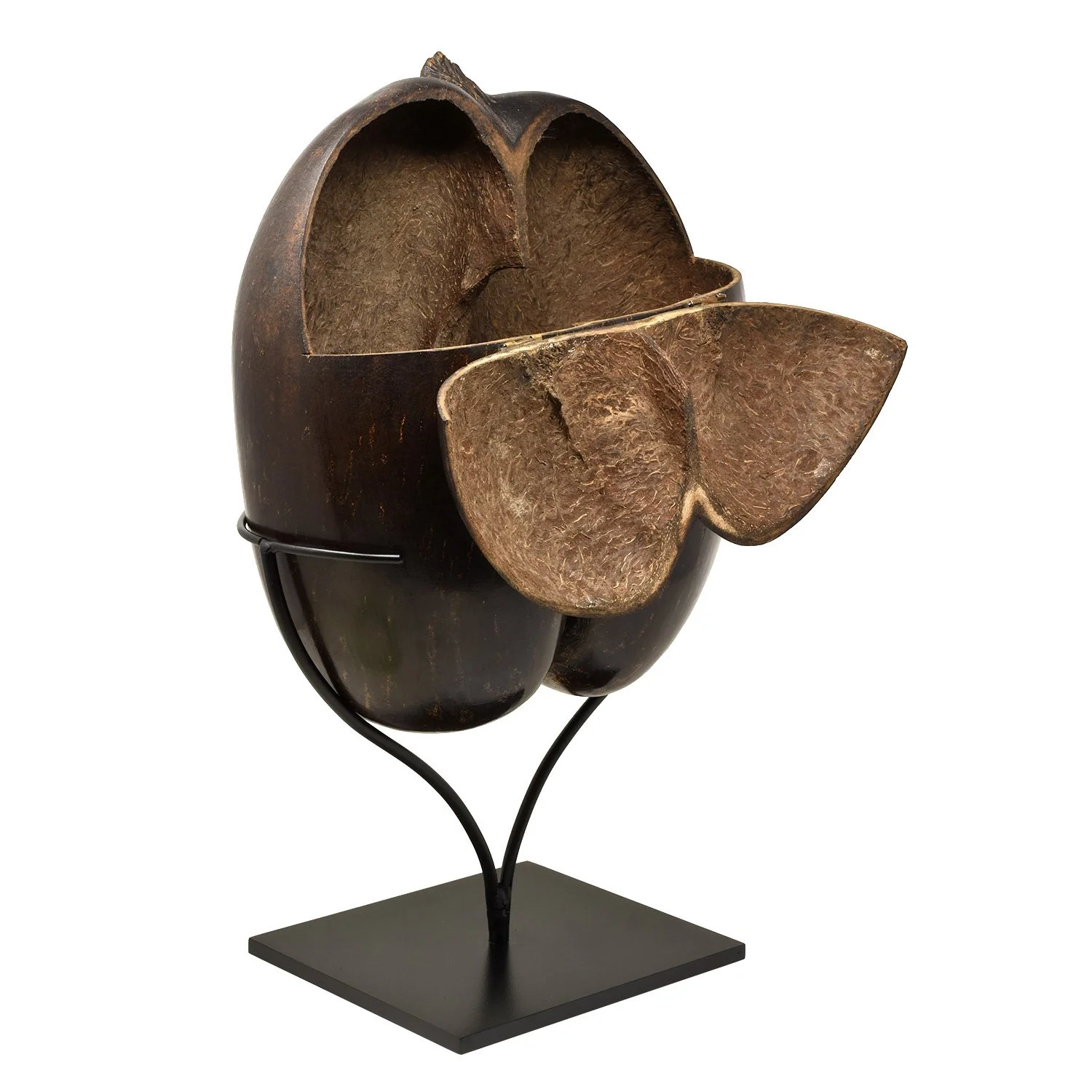 Coco-De-Mer-Morgan-Oakes-Oaks-3d.jpg