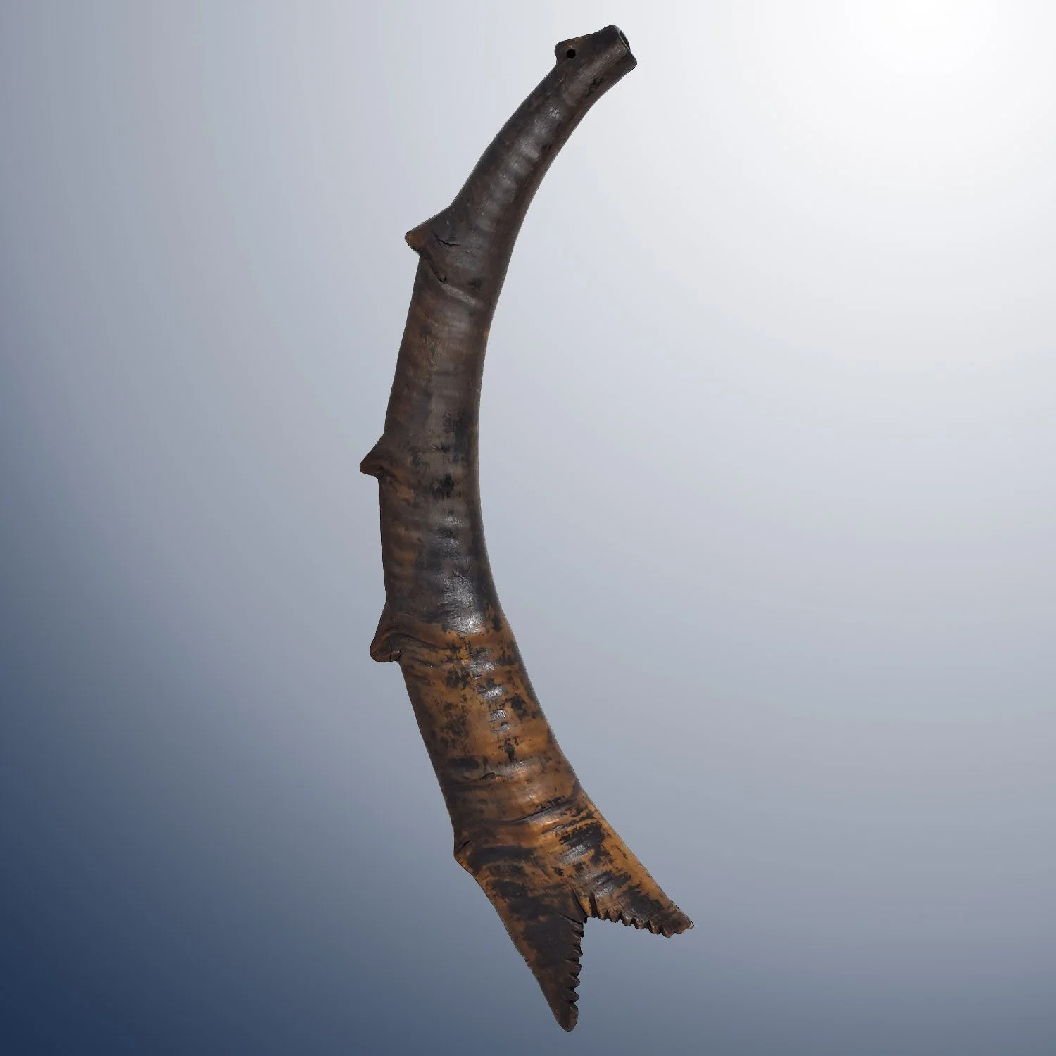 Jewish Trumpet, "Shofar"
