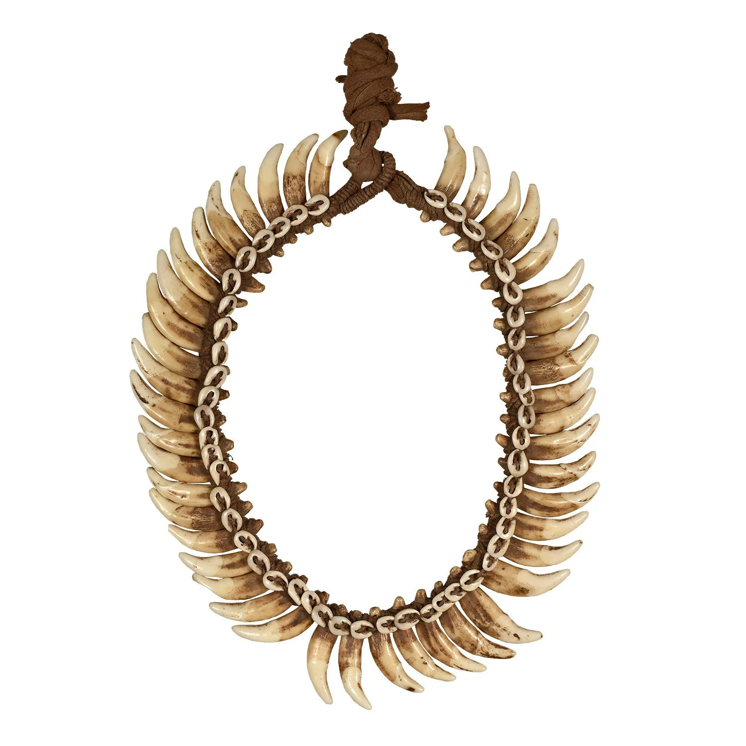 Dog-Tooth-Necklace-PNG-Morgan-Oaks-Oakes-2a.jpg