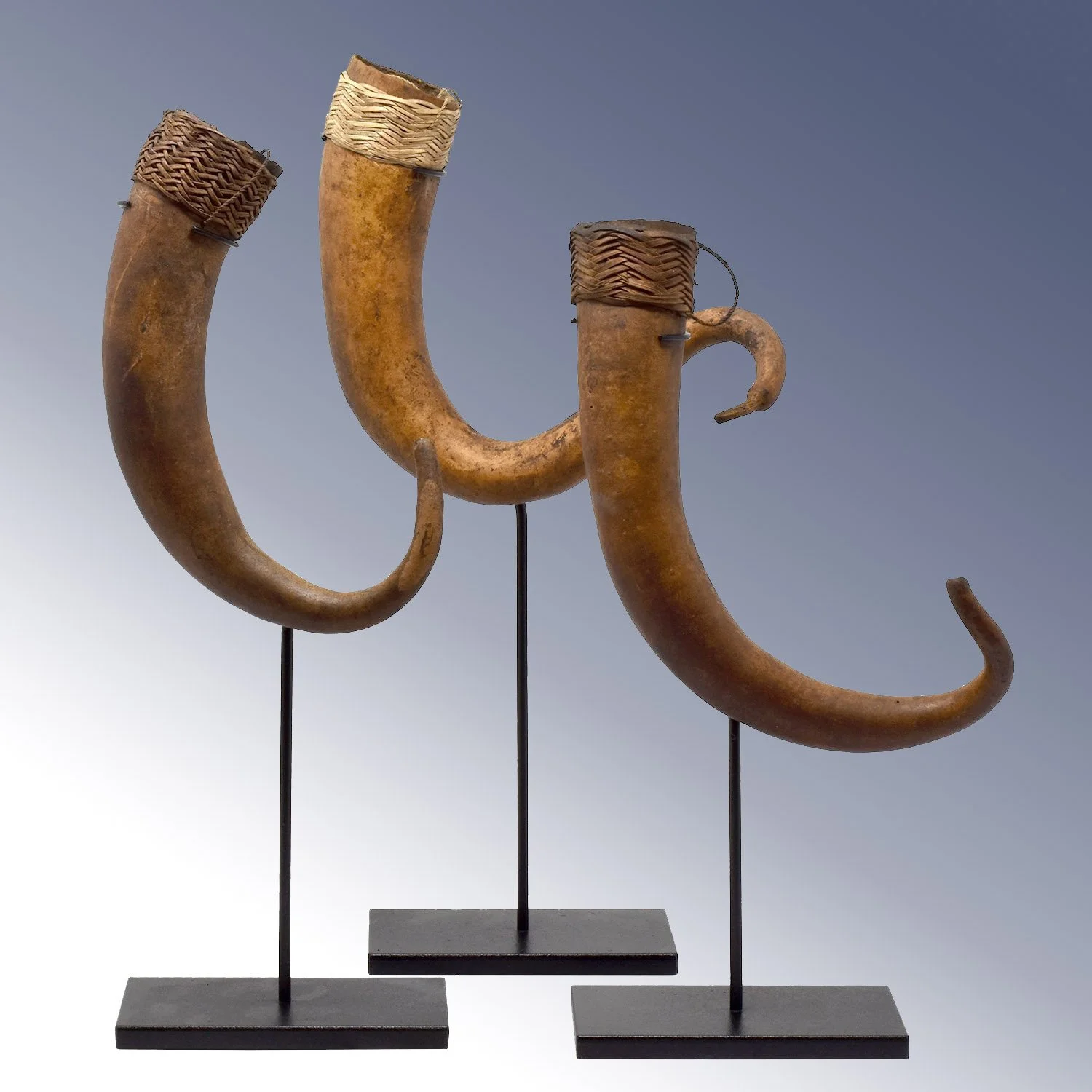 Set of 3 West Sepik Phallocrypts