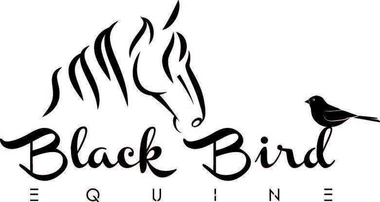 Black Bird Equestrian