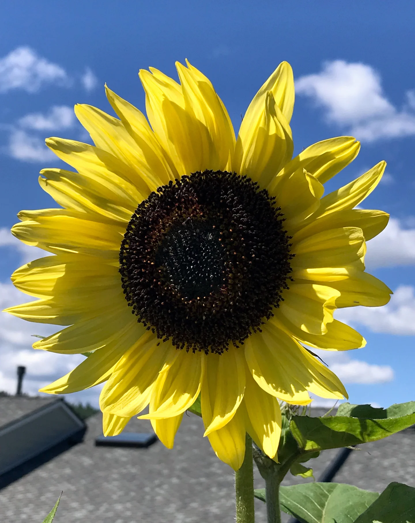 19 Quick Health Tips for 2019