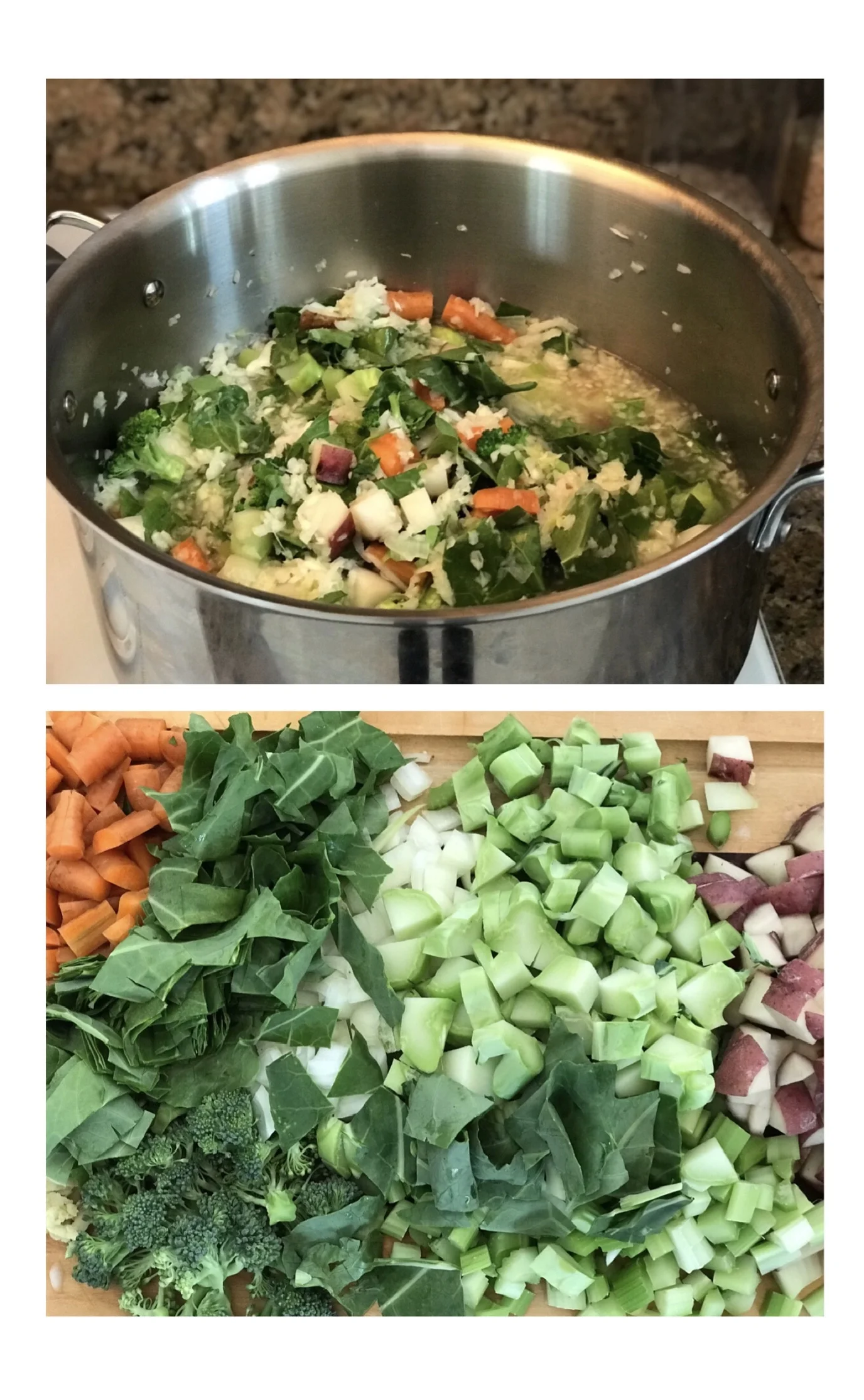 Farmer's Market Vegetable Soup