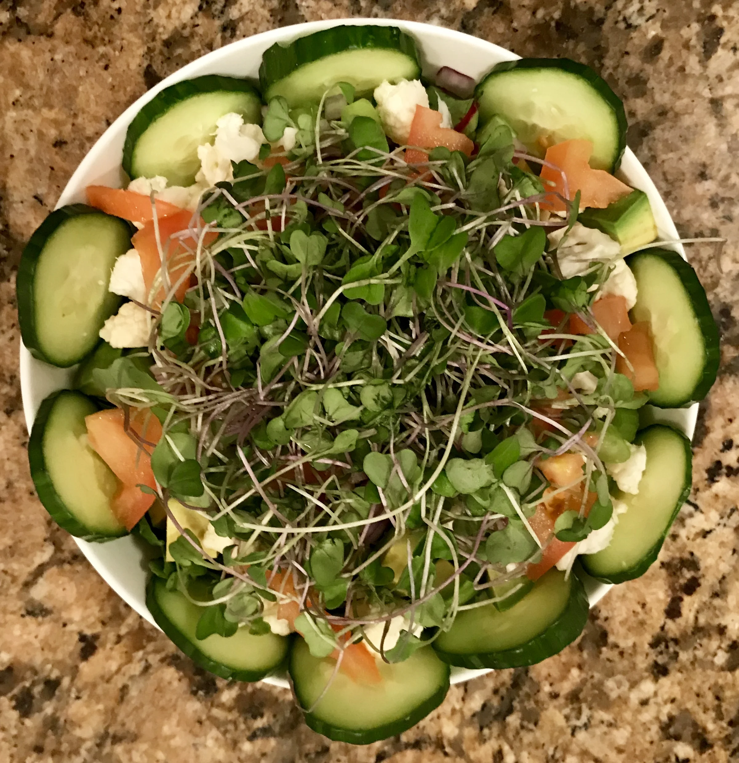 Cucumber Microgreens