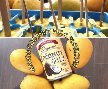 Mango Coconut Milk Ice Pops