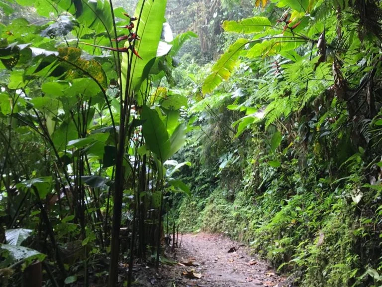 Walking paths for discovering nature