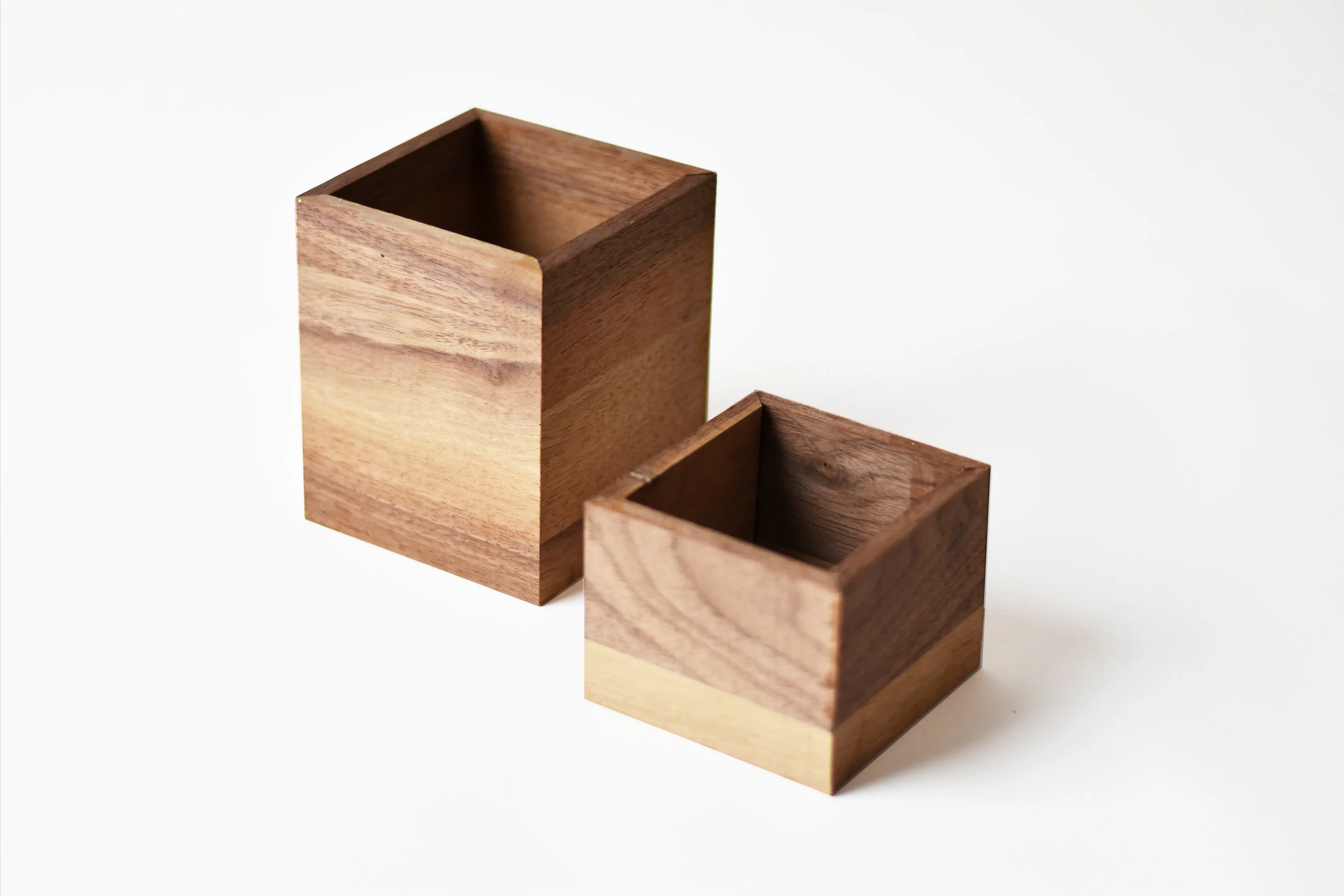 The Human Box