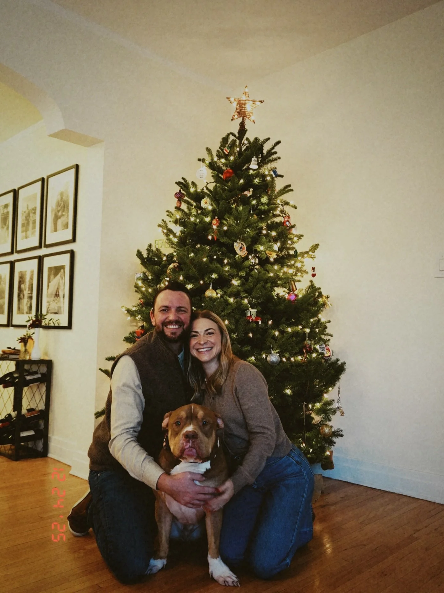 merry &amp; bright 🎄✨

happy holidays from the Mullers ❤️🐾