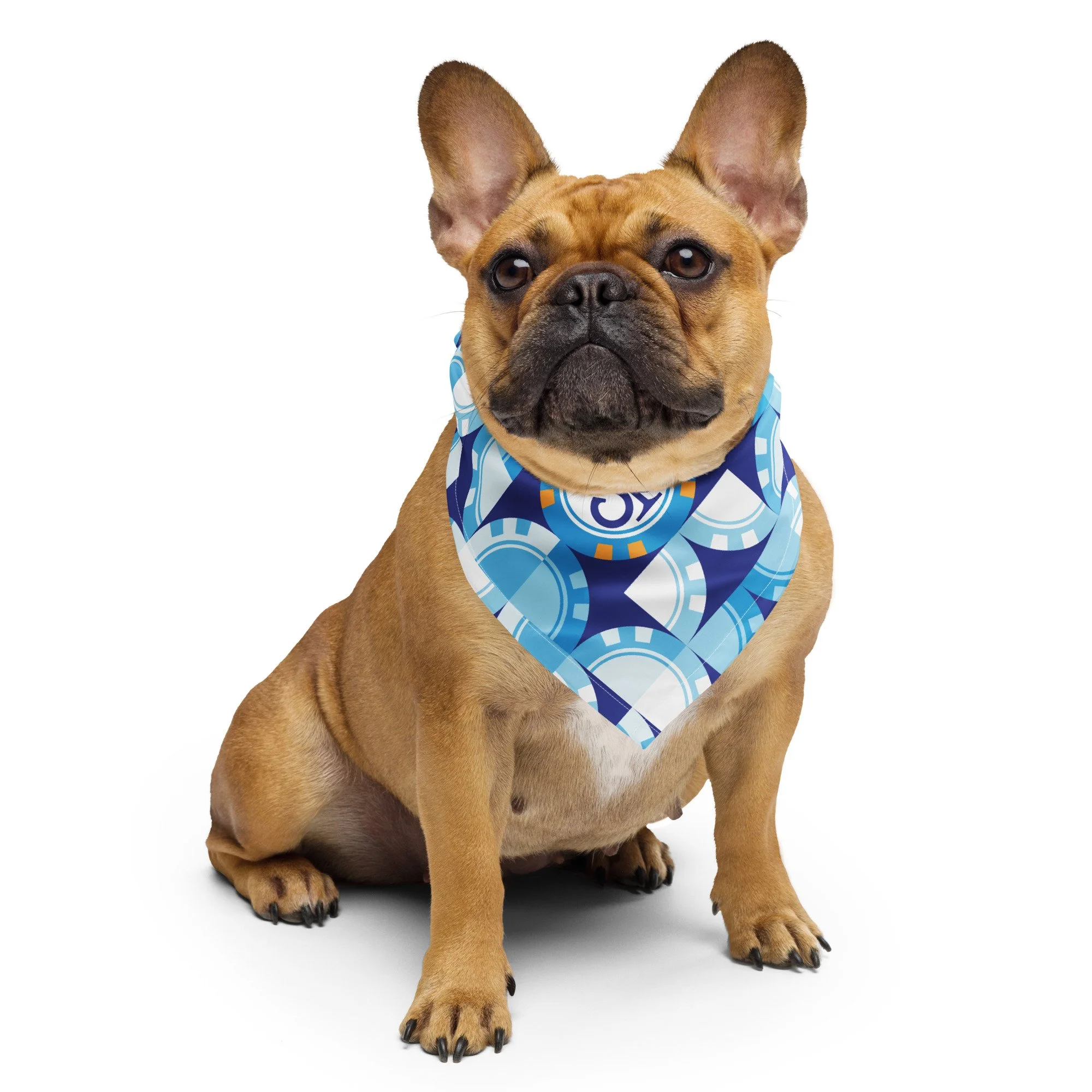 all-over-print-bandana-white-s-front-69250193768ab.jpg