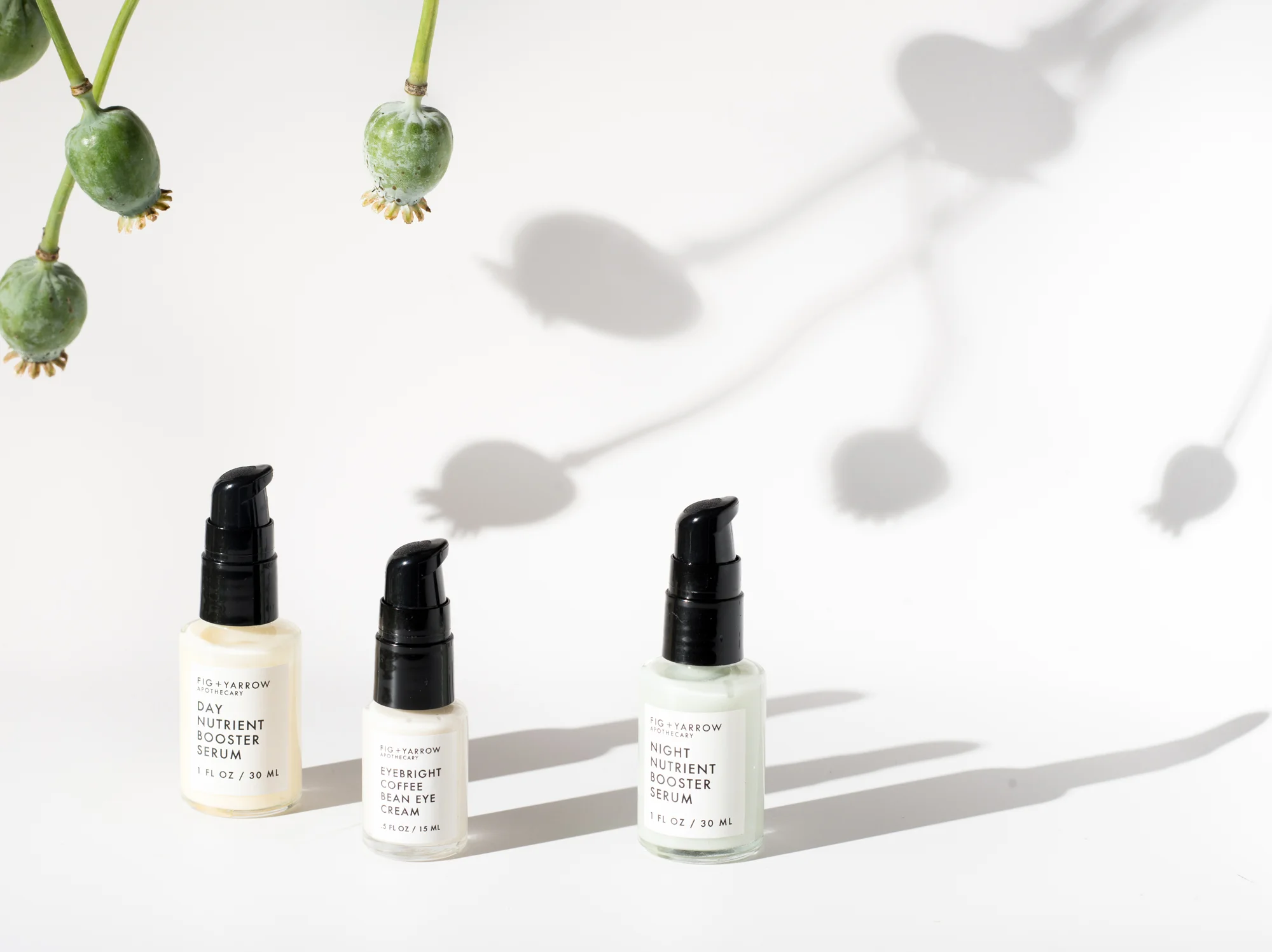 FIG+YARROW EYEBRIGHT COFFEE BEAN EYE CREAM
